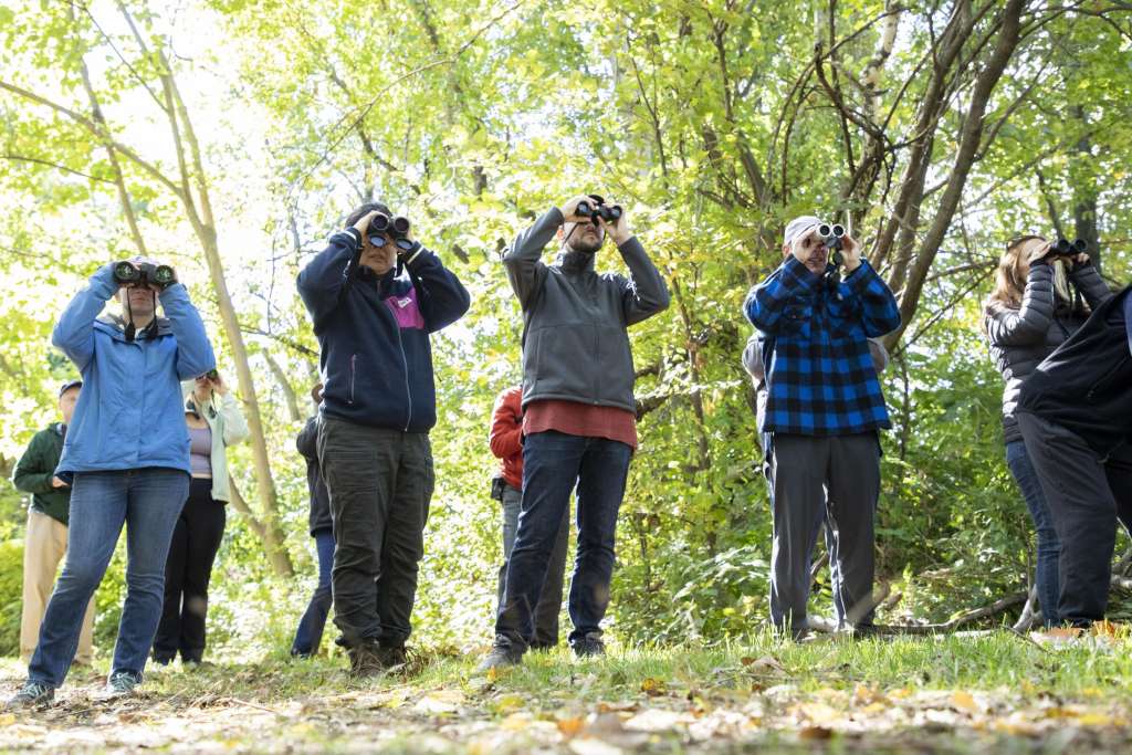 bird-watching-dandeli-packages